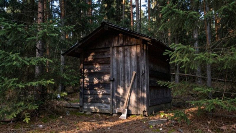 Jakie są przykłady stanu wyższej konieczności?
