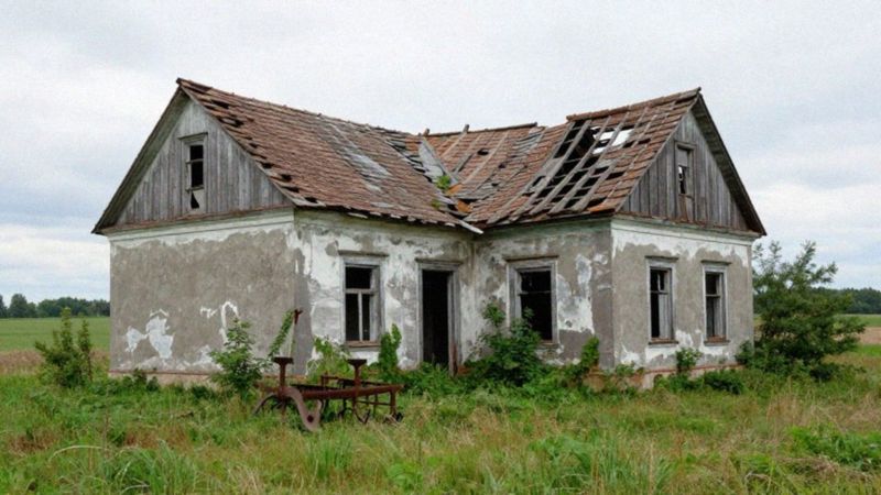 Dlaczego konflikty współwłaścicieli niszczą gospodarstwo rolne?
