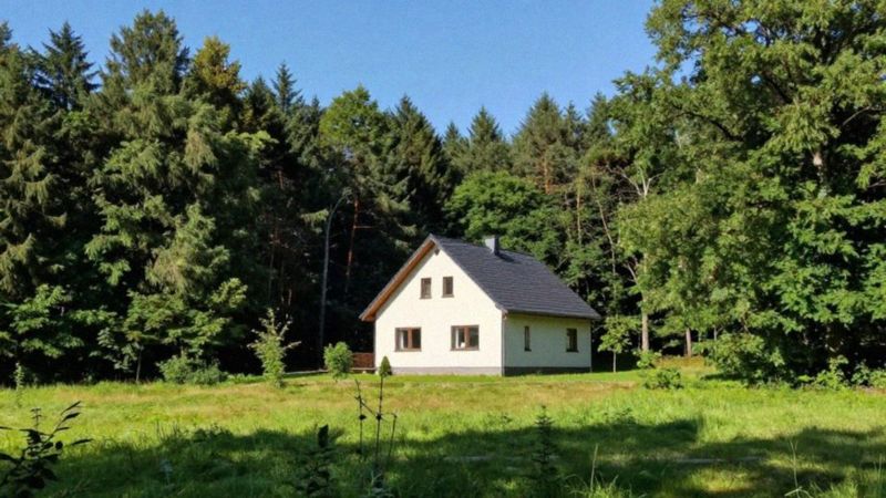 Jakie minimalne odległości od lasu obowiązują?