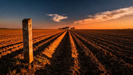 Dzierżawa: co to jest i jak działa? Przewodnik dla początkujących