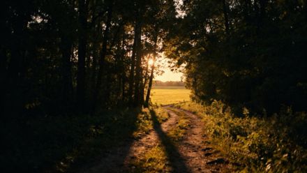 Sprzedaż działki bez drogi dojazdowej — co warto wiedzieć?